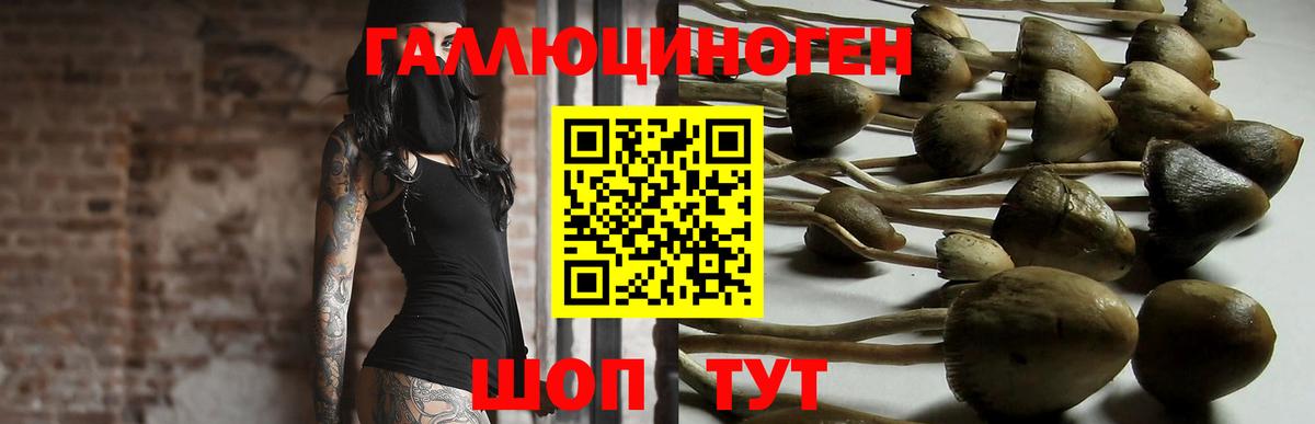 Псилоцибиновые грибы Psilocybine cubensis  Галлюциногенные грибы Psilocybe  где купить   Вход с VPN  Черемхово 